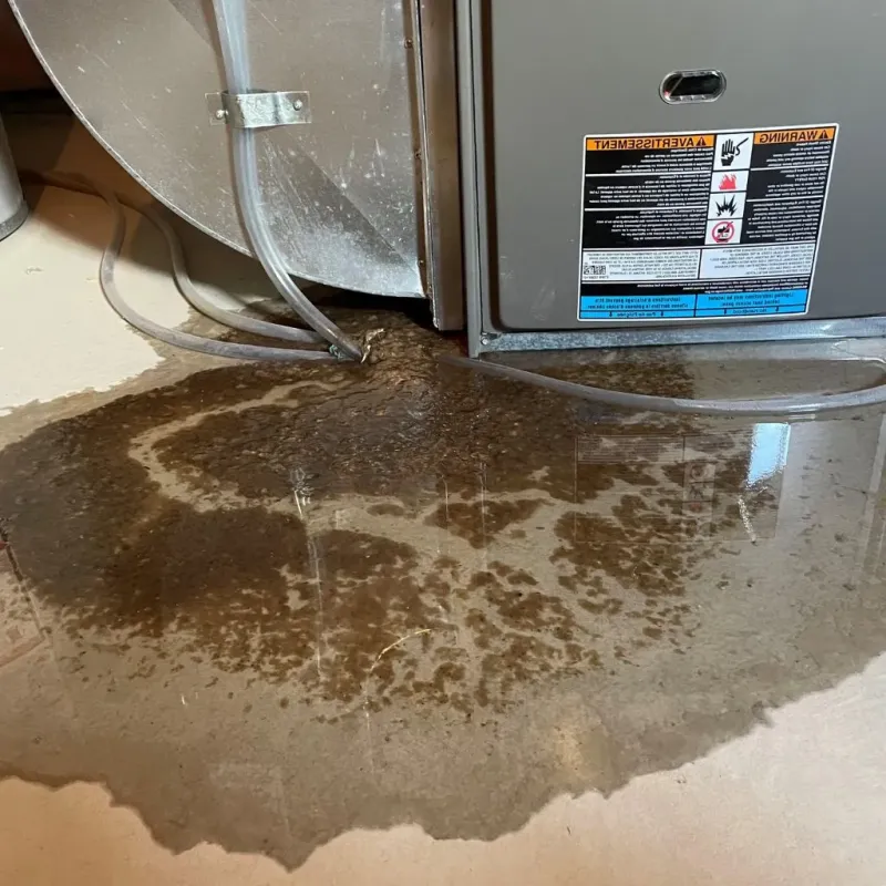 Pipe Burst and Leak Restoration in Merrimac, MA